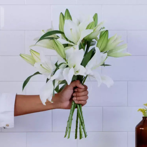 Arranjo com 6 Hastes de Lírios Brancos